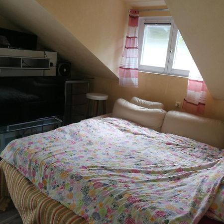 Wohlfuehloase - Zimmer, Appartment - Im Herzen Starnbergs Szoba fotó